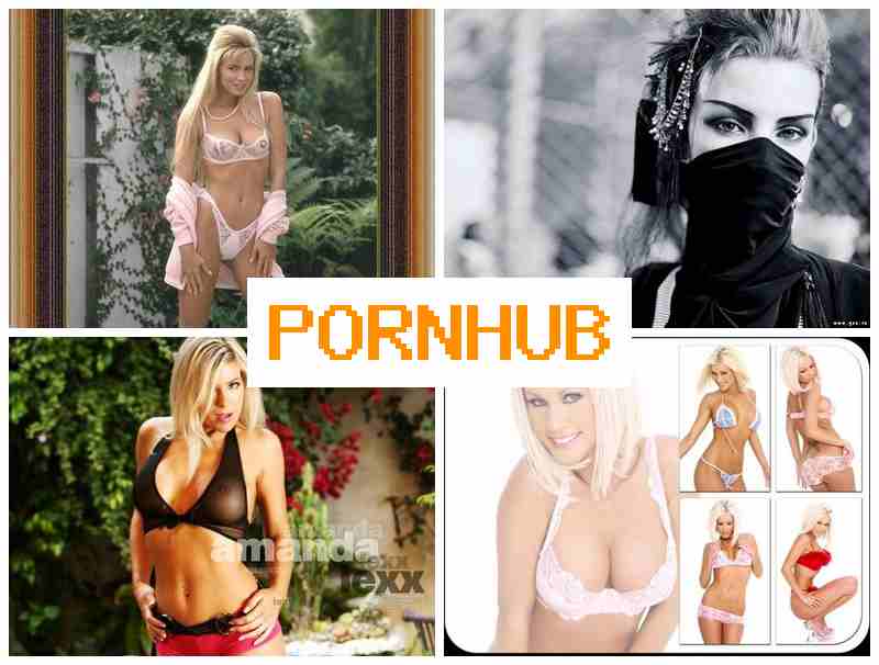 POENHUB 🔔 Ass Show Webcam Online POENHUB 🔔 Ass Show Webcam Online